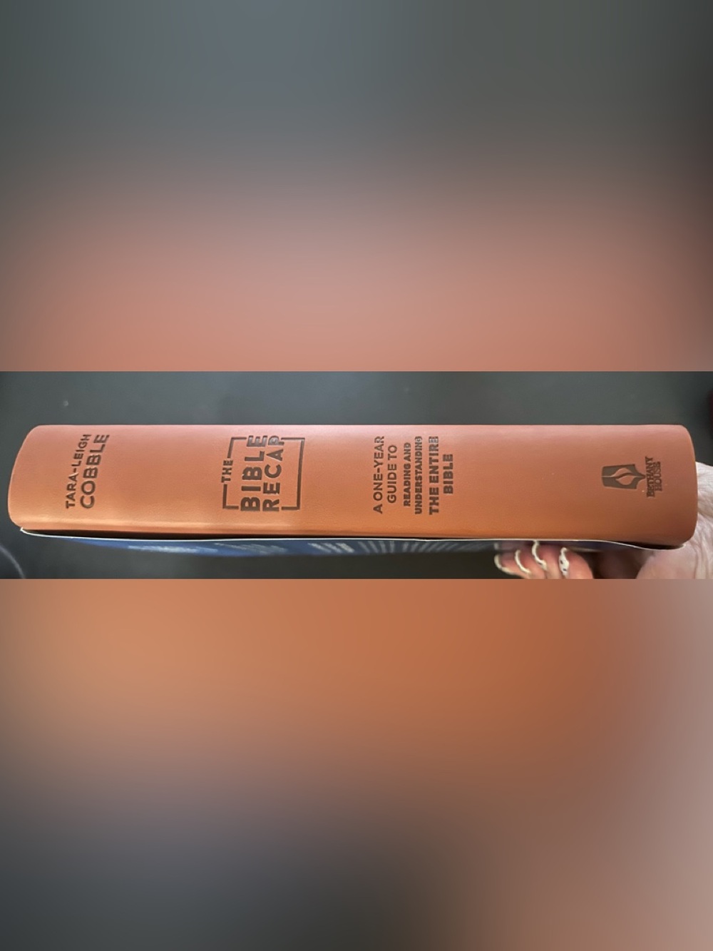 The Bible Recap One-Year Guide by Tara-Leigh Cobble - Picture 16 of 16